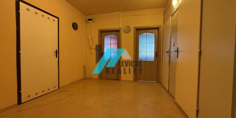 Levicke-reality-7