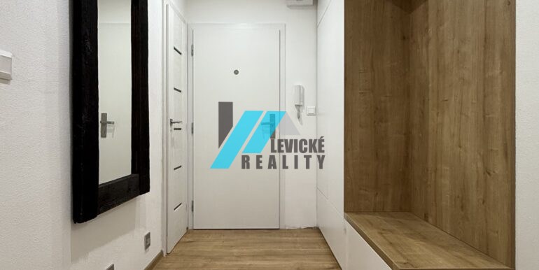 Levicke-reality-8