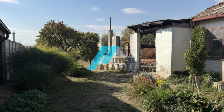 Levicke-reality-8